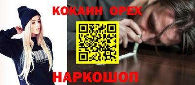 гашик Кунгур