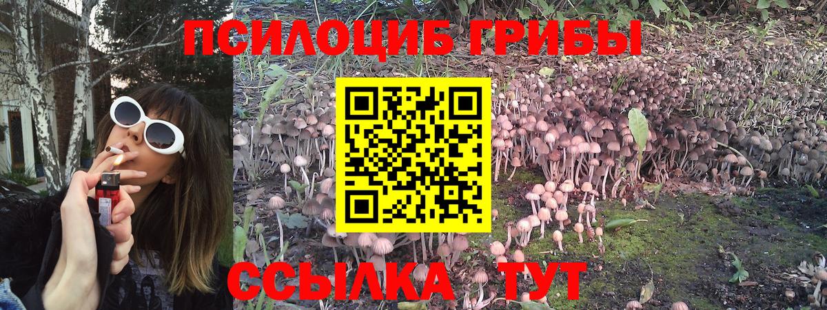 Псилоцибиновые грибы Cubensis  Вход с VPN  Долгопрудный 